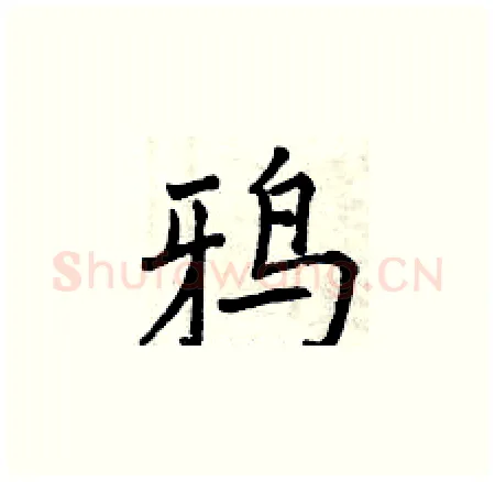 鸦硬笔楷书写法,摘自曾庆福硬笔书法字帖