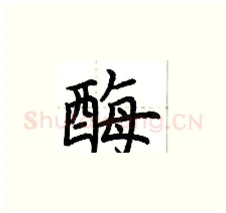 酶硬笔楷书写法,摘自荆霄鹏硬笔书法字帖