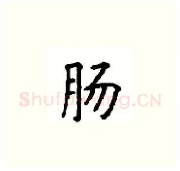 肠硬笔楷书写法,摘自顾仲安硬笔书法字帖