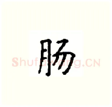 肠硬笔楷书写法,摘自顾仲安硬笔书法字帖