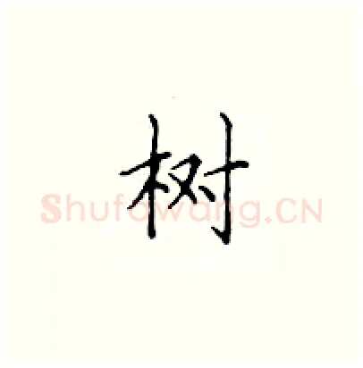 树硬笔楷书写法,摘自顾仲安硬笔书法字帖