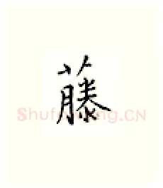 藤硬笔楷书写法,摘自邹慕白硬笔书法字帖