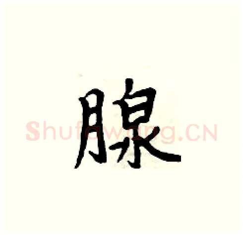 腺硬笔楷书写法,摘自周炳元硬笔书法字帖