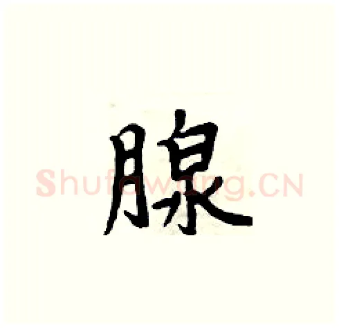 腺硬笔楷书写法,摘自周炳元硬笔书法字帖