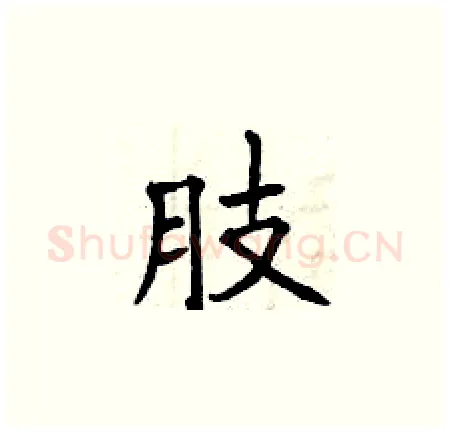 肢硬笔楷书写法,摘自曾庆福硬笔书法字帖