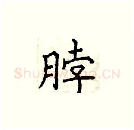 脖硬笔楷书写法,摘自曾庆福硬笔书法字帖