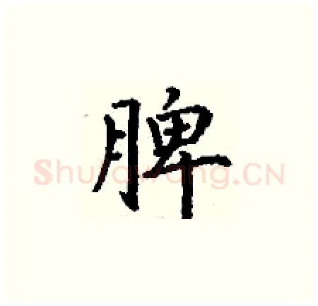 脾硬笔楷书写法,摘自丁谦硬笔书法字帖