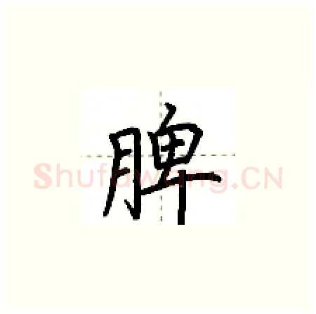 脾硬笔楷书写法,摘自荆霄鹏硬笔书法字帖