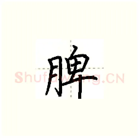 脾硬笔楷书写法,摘自荆霄鹏硬笔书法字帖