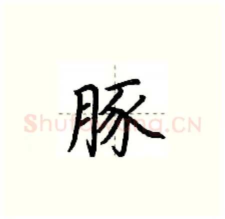 豚硬笔楷书写法,摘自荆霄鹏硬笔书法字帖