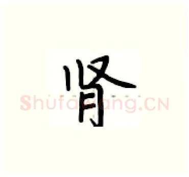 肾硬笔楷书写法,摘自卢中南硬笔书法字帖