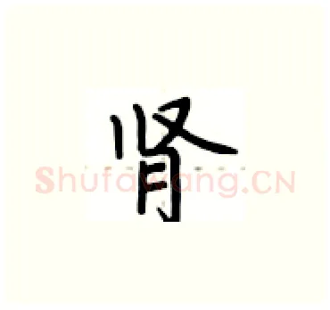 肾硬笔楷书写法,摘自卢中南硬笔书法字帖