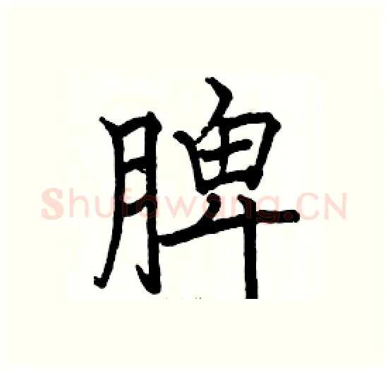 脾硬笔楷书写法,摘自骆恒光硬笔书法字帖