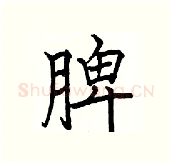 脾硬笔楷书写法,摘自骆恒光硬笔书法字帖