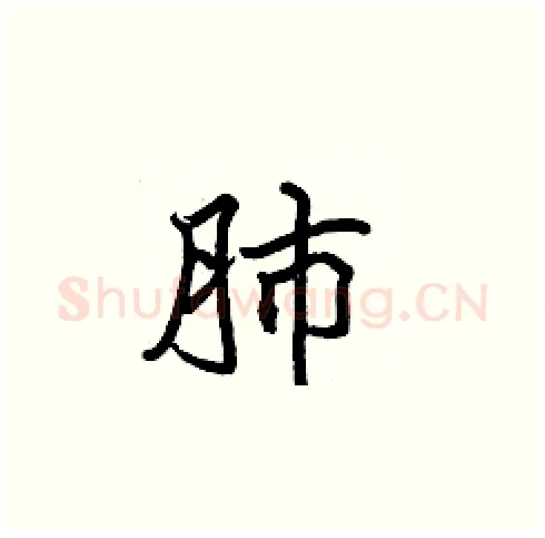 肺硬笔楷书写法,摘自张标硬笔书法字帖