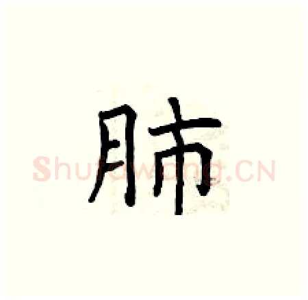 肺硬笔楷书写法,摘自曾庆福硬笔书法字帖