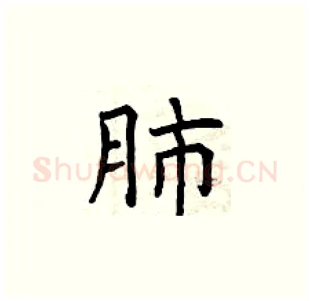 肺硬笔楷书写法,摘自曾庆福硬笔书法字帖