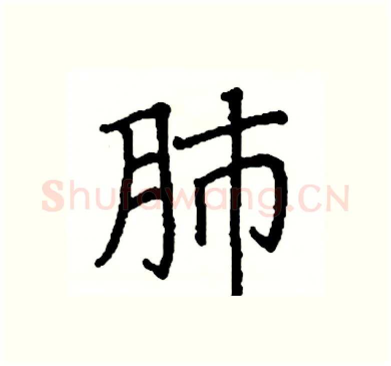 肺硬笔楷书写法,摘自阎锐敏硬笔书法字帖