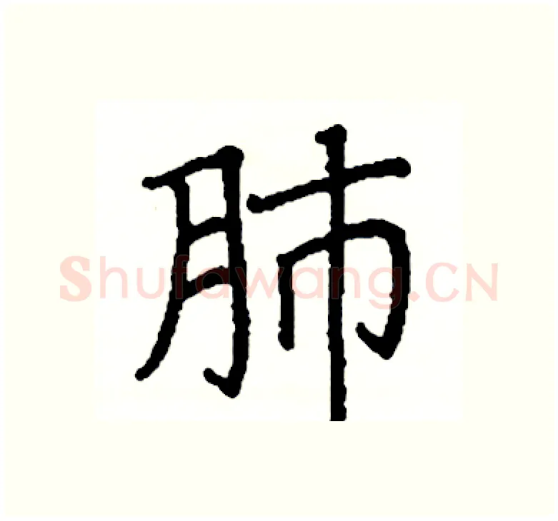 肺硬笔楷书写法,摘自阎锐敏硬笔书法字帖