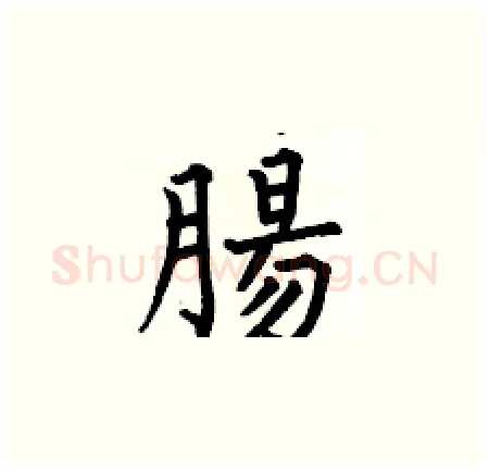 腸硬笔楷书写法,摘自何伯昌硬笔书法字帖