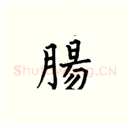 腸硬笔楷书写法,摘自何伯昌硬笔书法字帖