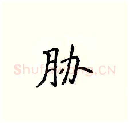 胁硬笔楷书写法,摘自侯登峰硬笔书法字帖