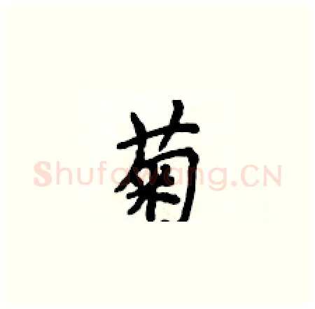 菊硬笔楷书写法,摘自侯登峰硬笔书法字帖