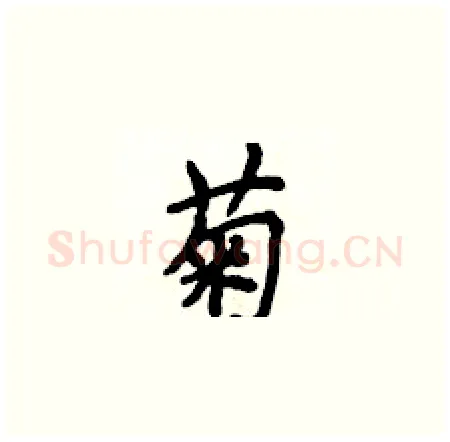 菊硬笔楷书写法,摘自侯登峰硬笔书法字帖
