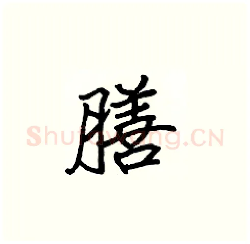 膳硬笔楷书写法,摘自张标硬笔书法字帖