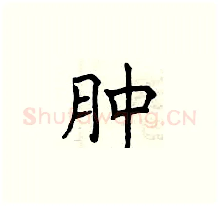 肿硬笔楷书写法,摘自曾庆福硬笔书法字帖