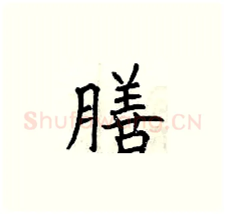 膳硬笔楷书写法,摘自曾庆福硬笔书法字帖