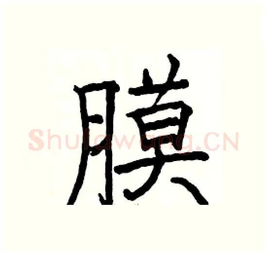 膜硬笔楷书写法,摘自骆恒光硬笔书法字帖