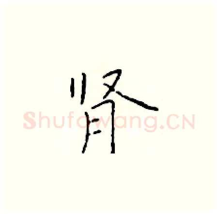 肾硬笔楷书写法,摘自于学仁硬笔书法字帖