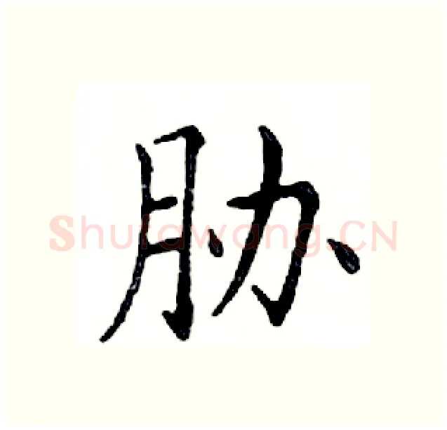 胁硬笔楷书写法,摘自邓散木硬笔书法字帖