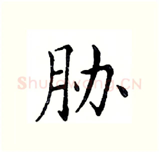 胁硬笔楷书写法,摘自邓散木硬笔书法字帖