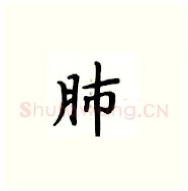 肺硬笔楷书写法,摘自卢中南硬笔书法字帖