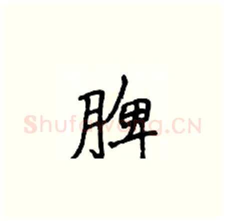 脾硬笔楷书写法,摘自侯登峰硬笔书法字帖