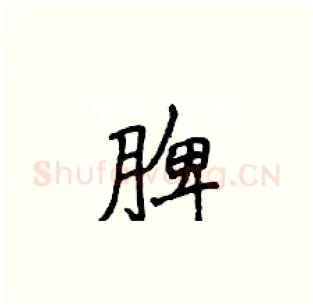 脾硬笔楷书写法,摘自侯登峰硬笔书法字帖