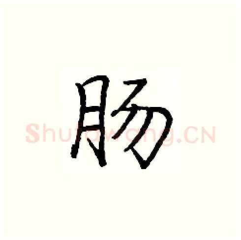 肠硬笔楷书写法,摘自庞中华硬笔书法字帖