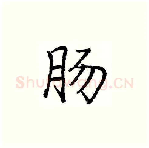 肠硬笔楷书写法,摘自庞中华硬笔书法字帖