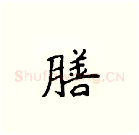 膳硬笔楷书写法,摘自侯登峰硬笔书法字帖