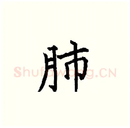 肺硬笔楷书写法,摘自何伯昌硬笔书法字帖