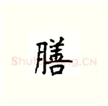膳硬笔楷书写法,摘自顾仲安硬笔书法字帖