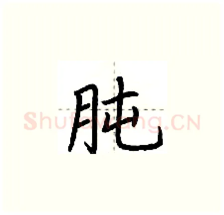 肫硬笔楷书写法,摘自荆霄鹏硬笔书法字帖