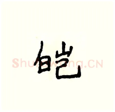 皑硬笔楷书写法,摘自侯登峰硬笔书法字帖