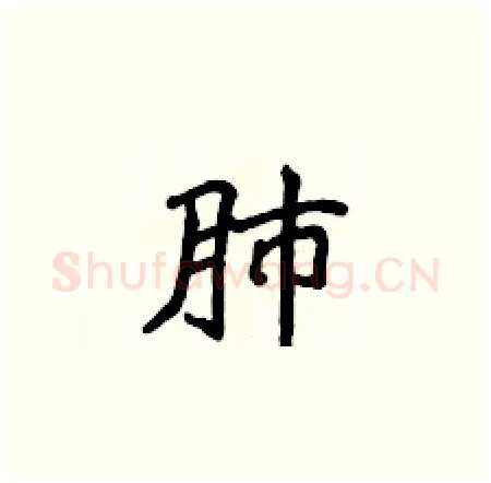 肺硬笔楷书写法,摘自侯登峰硬笔书法字帖
