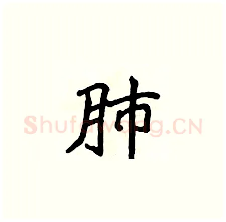 肺硬笔楷书写法,摘自侯登峰硬笔书法字帖