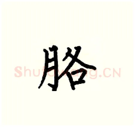 胳硬笔楷书写法,摘自何伯昌硬笔书法字帖