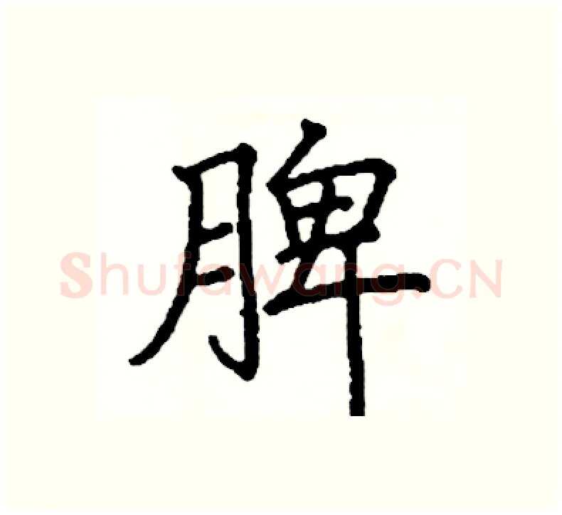 脾硬笔楷书写法,摘自阎锐敏硬笔书法字帖
