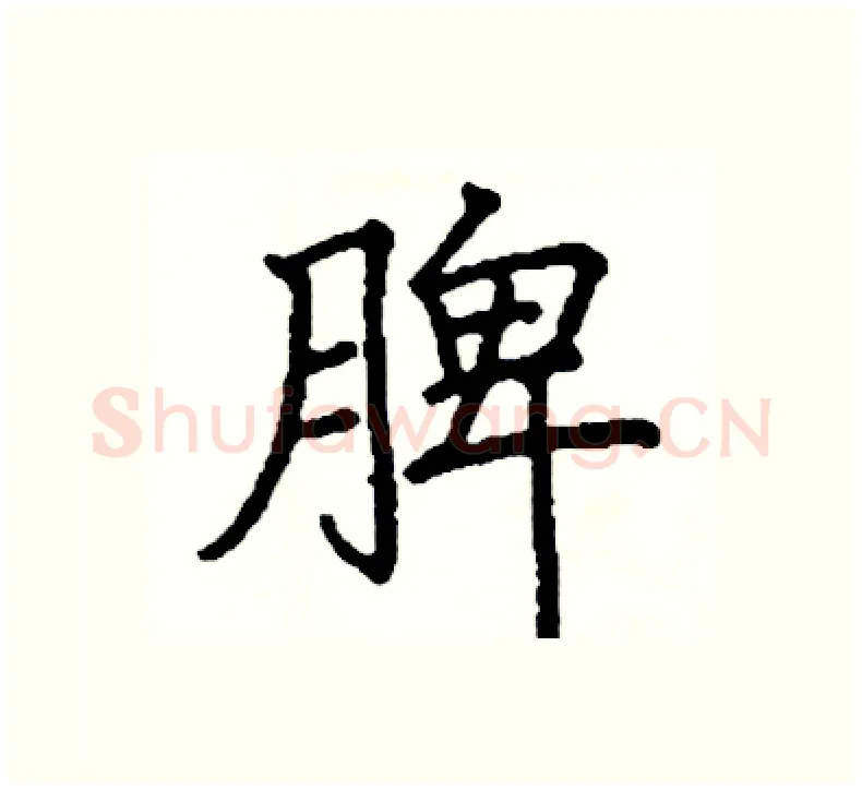 脾硬笔楷书写法,摘自阎锐敏硬笔书法字帖